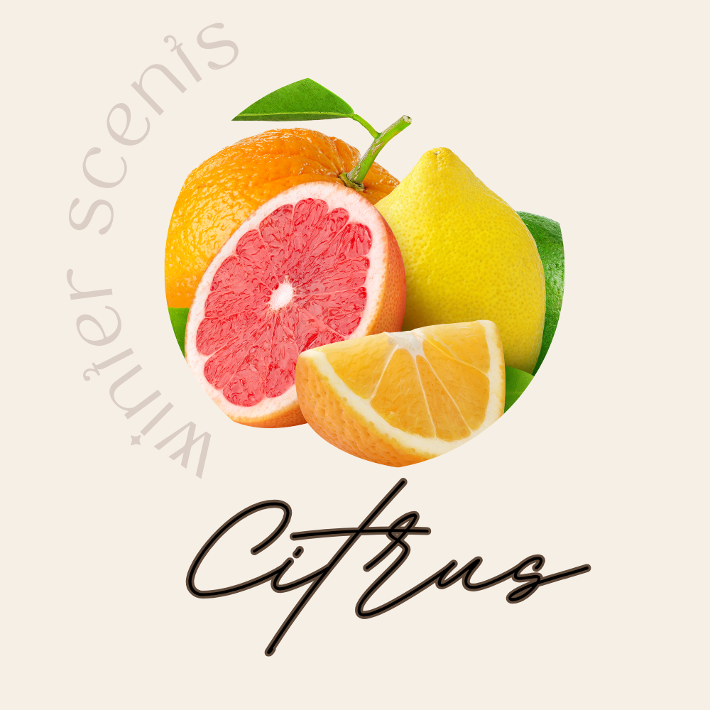 Citrus Candle Collection