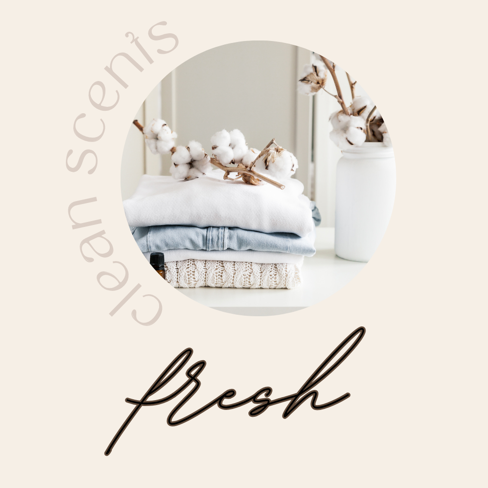 Fresh Candle Collection