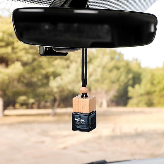 Fall Car Diffusers