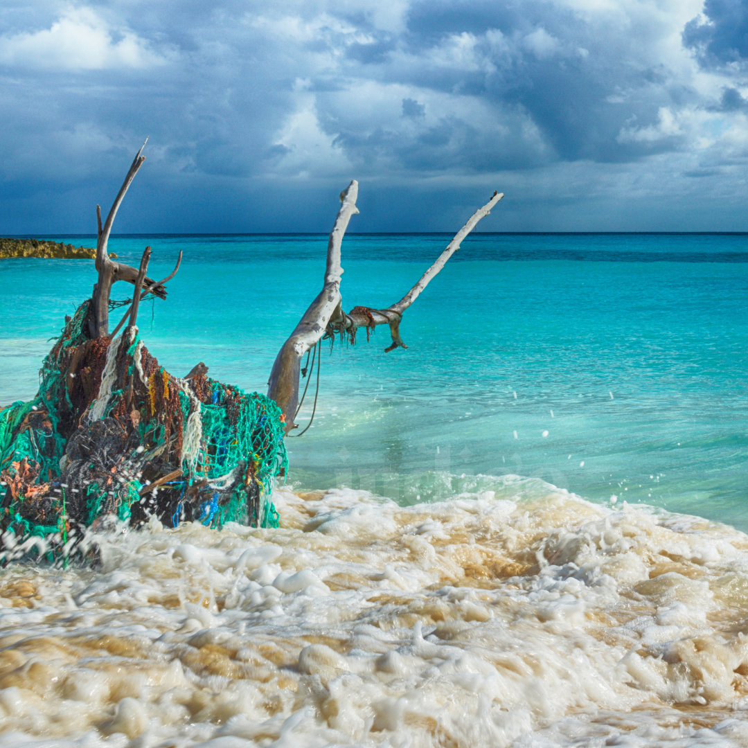 Driftwood Shores Surface Cleaner