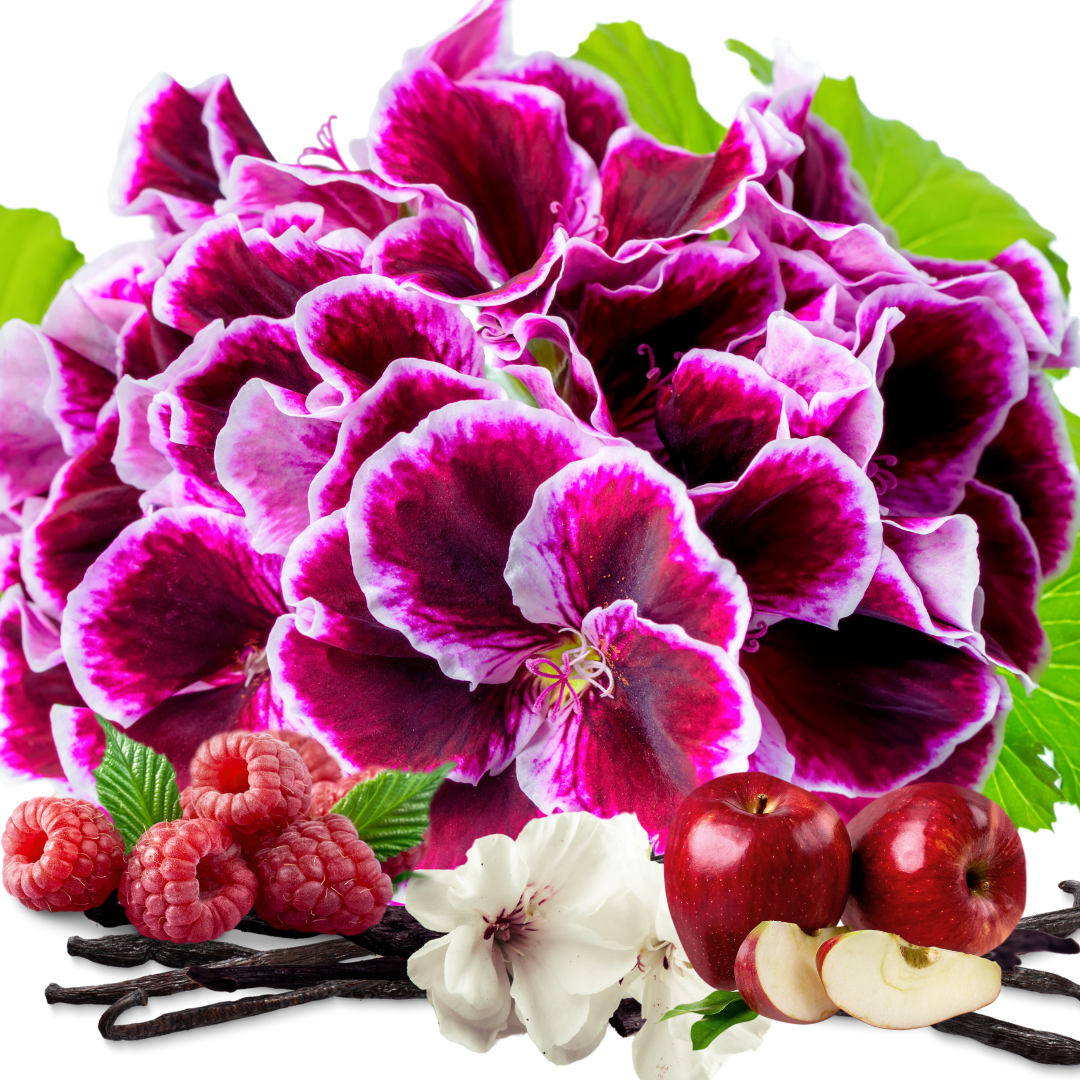 Velvet Bloom Room Spray