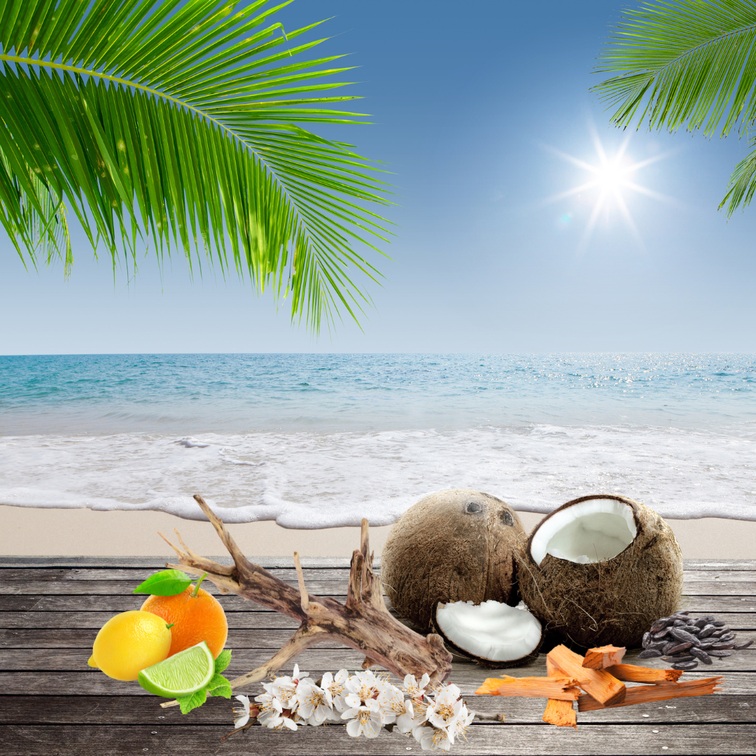 Coco Cabana Surface Cleaner