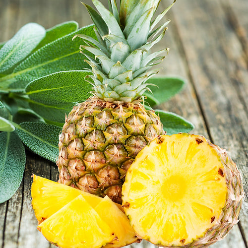 Pineapple Sage | 10 oz. Clear Jar | Coconut Soy Candle