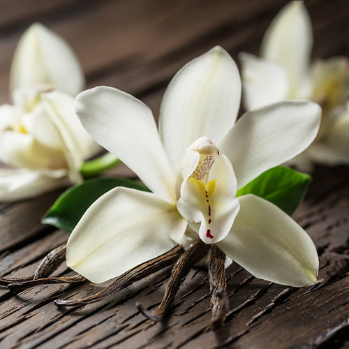 Sandalwood Vanilla | 10 oz. Matte Black Jar | Coconut Soy Candle