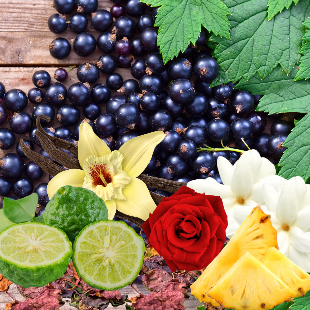 Urban Legend | 10 oz. Matte Black Jar | Coconut Soy Candle