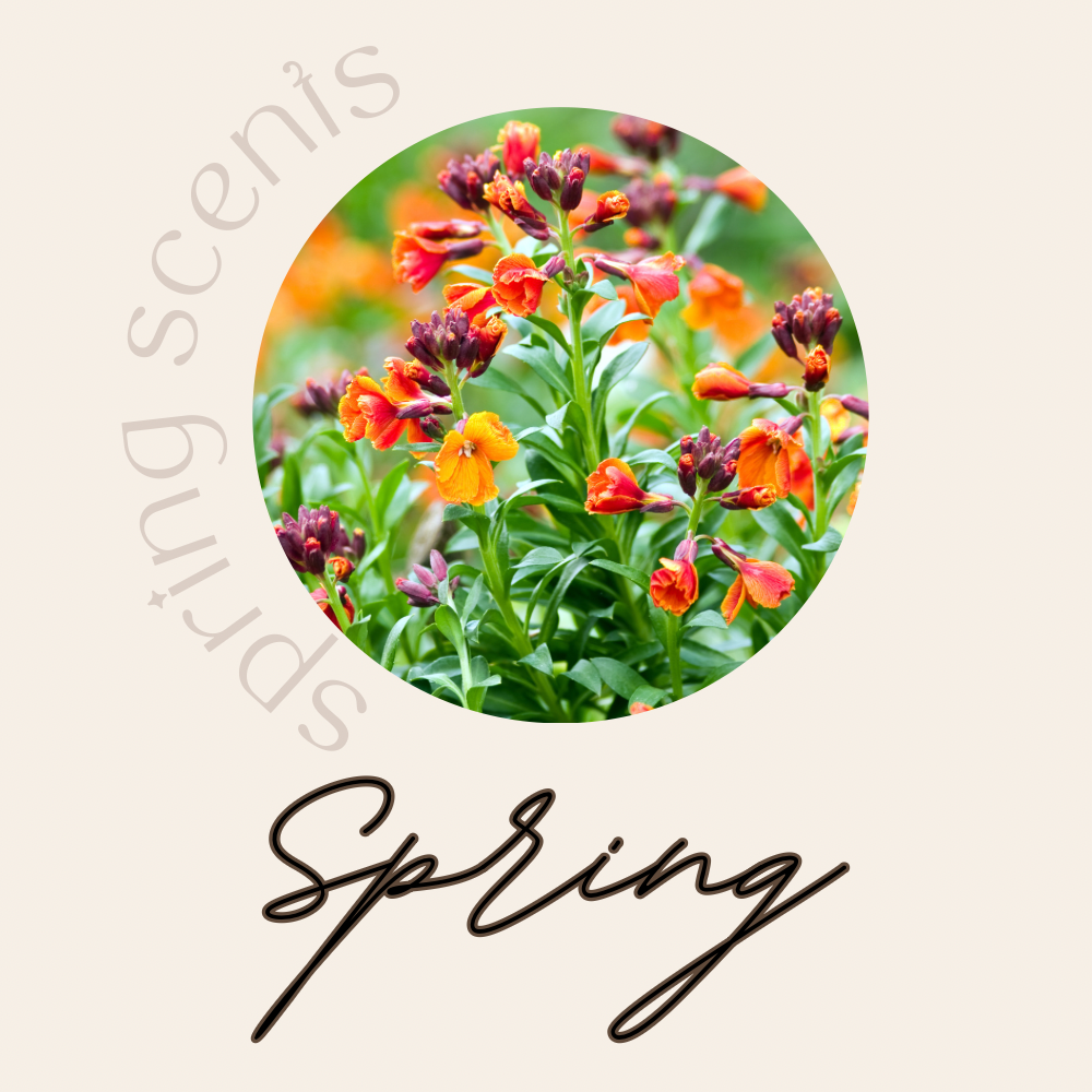 Spring Candle Collection