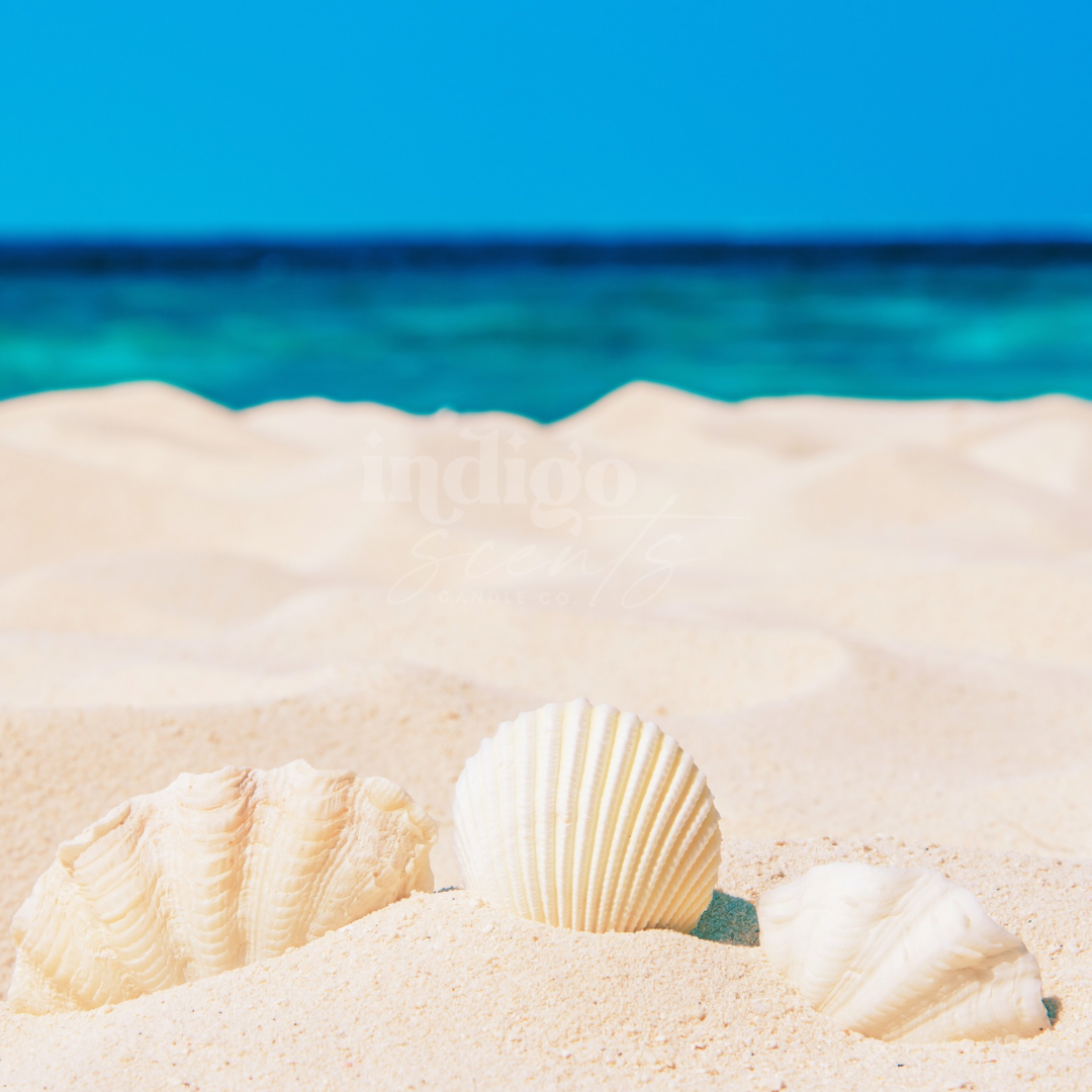 Sandy Beaches Wax Melts